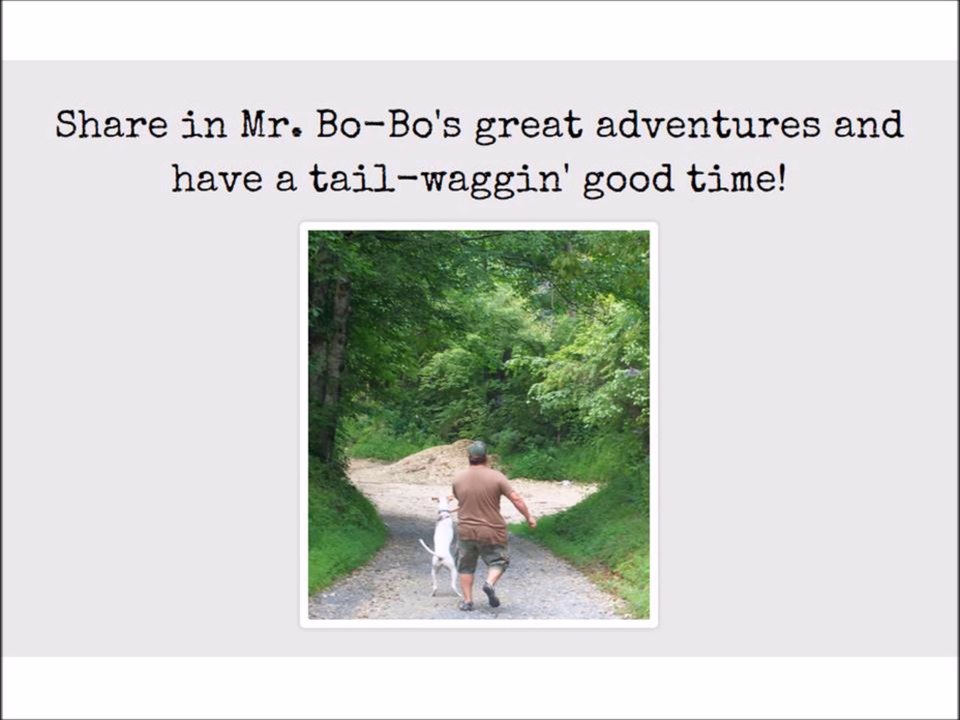 The Mr. Bo-Bo Picture Book Series Website and Book Trailer