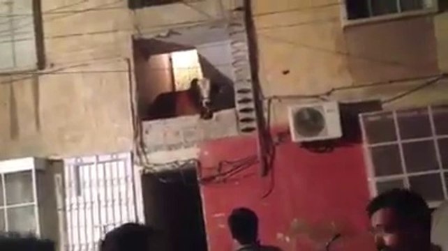 Dangerous Qurbani || Cow Run Away Eid ul Azha || HD ✔