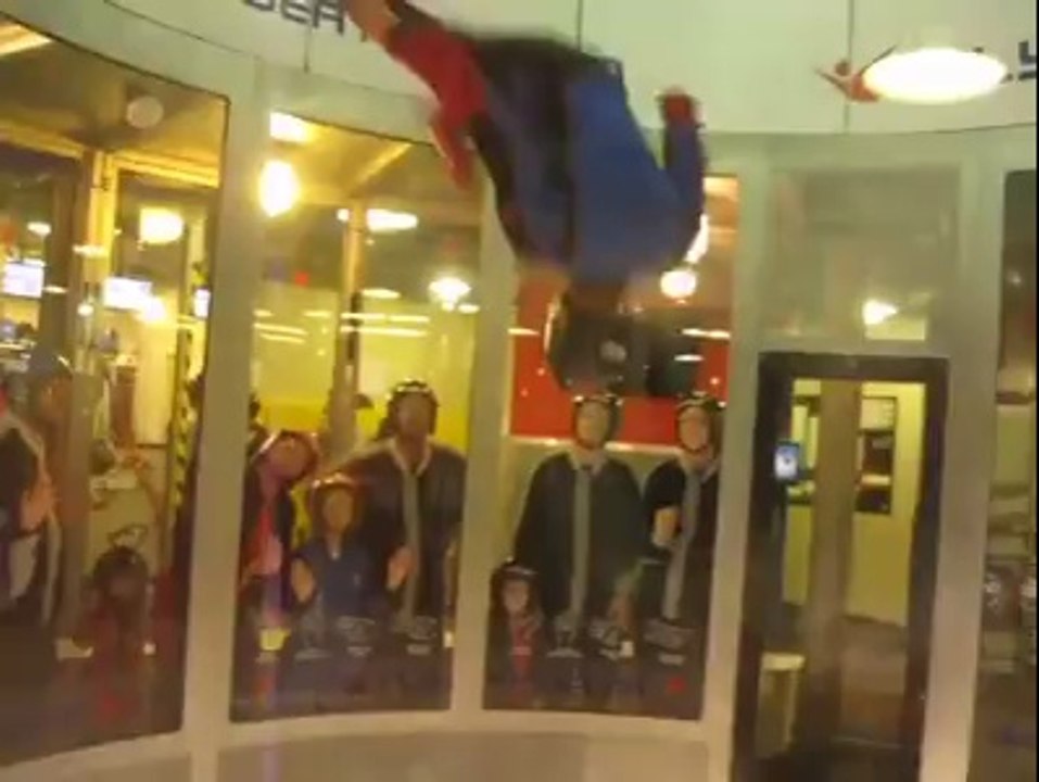 fly like Bird