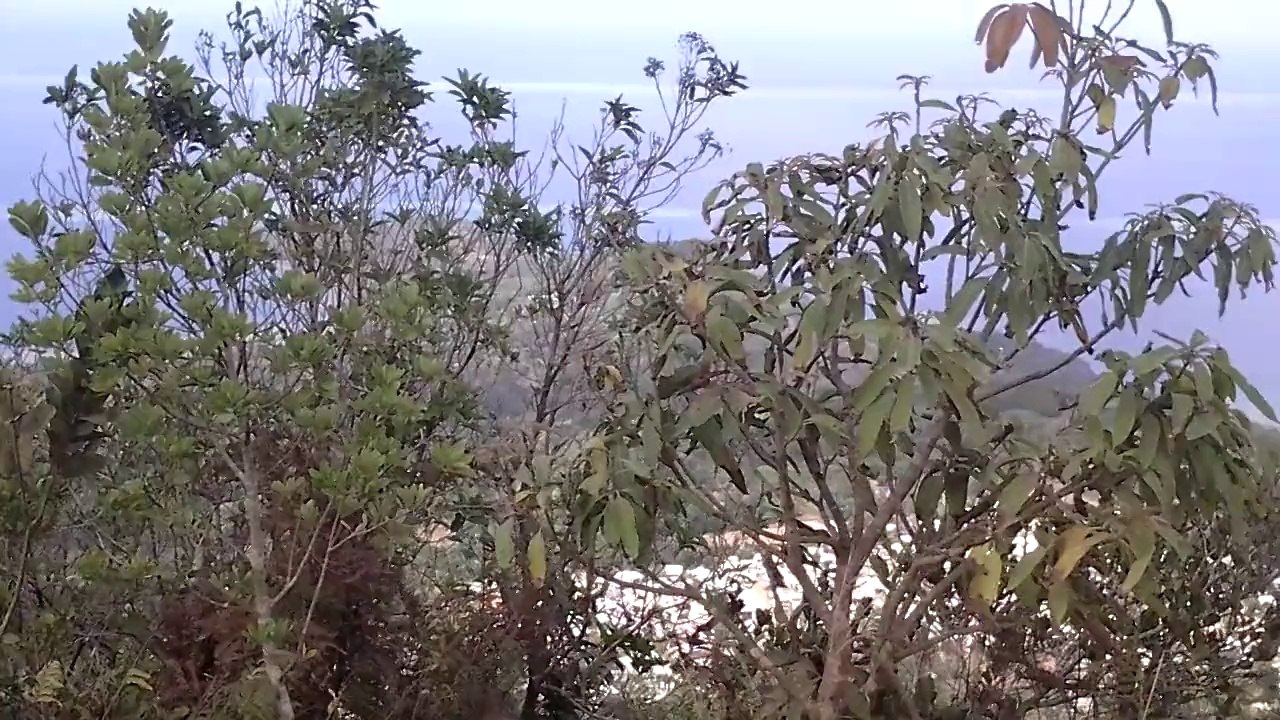 Mont Choungui