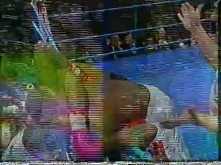 1994-02-26 Michael Nunn vs Steve Little