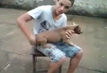 Cfare dreqin po ben ky qen debil _  _O - O vlla _ Ke vlla _ Ti vlla _ _ Facebook