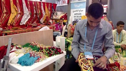 الحصان البربري نجم معرض الفرس الدولي في المغرب