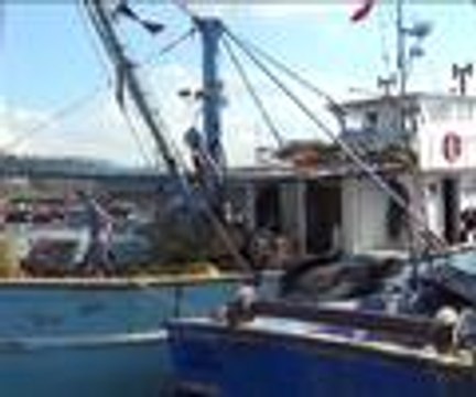 Balık ağına füze takıldı