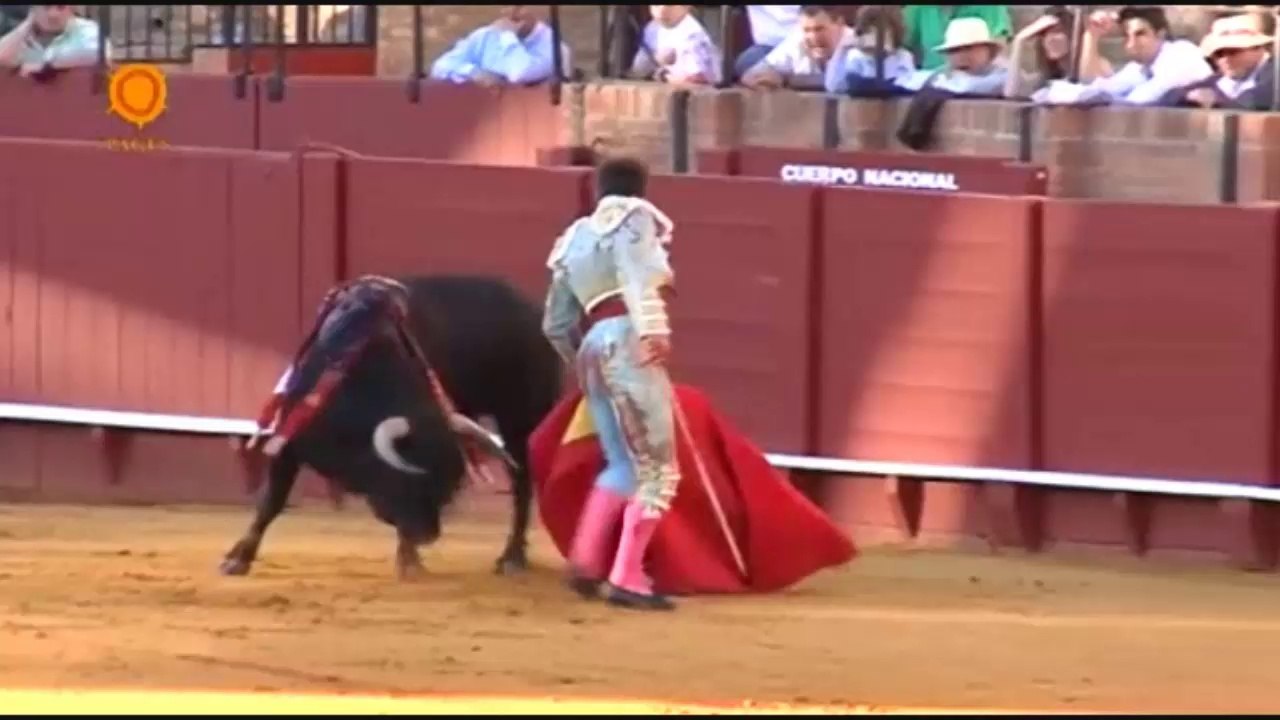 Gonzalo Caballero II