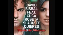 DAVID BISBAL  CUCA ROSETA SI AUN TE QUIERES QUEDAR José Macedo