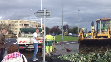 Les légumiers manifestent