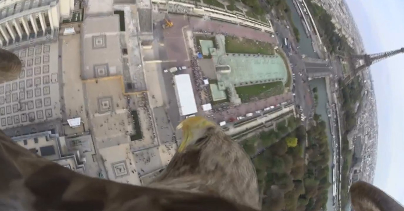 Demek Uçmak Böyleymiş... Kartalın Gözünden Paris Manzarası!