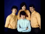 The Kinks Tribute