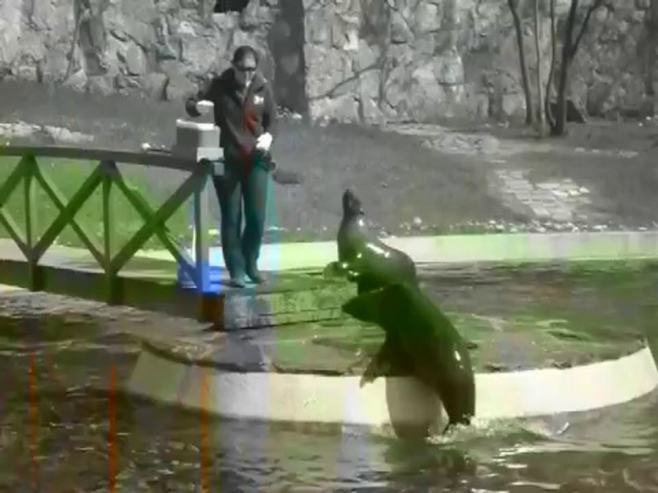Zoo in Wroclaw, Poland
