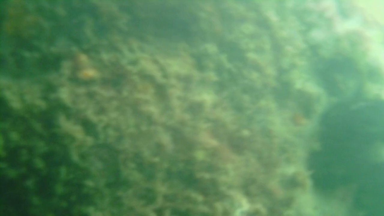 Praia da Picinguaba, Mares, Cavernas Submarinas, Ubatuba, SP, Brasil, Marcelo Ambrogi, (10)