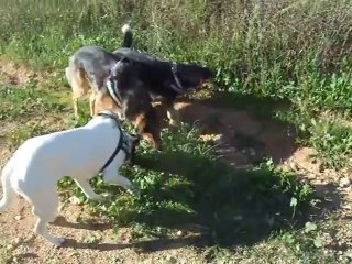 Velo avec Roméo, Neige et Caline