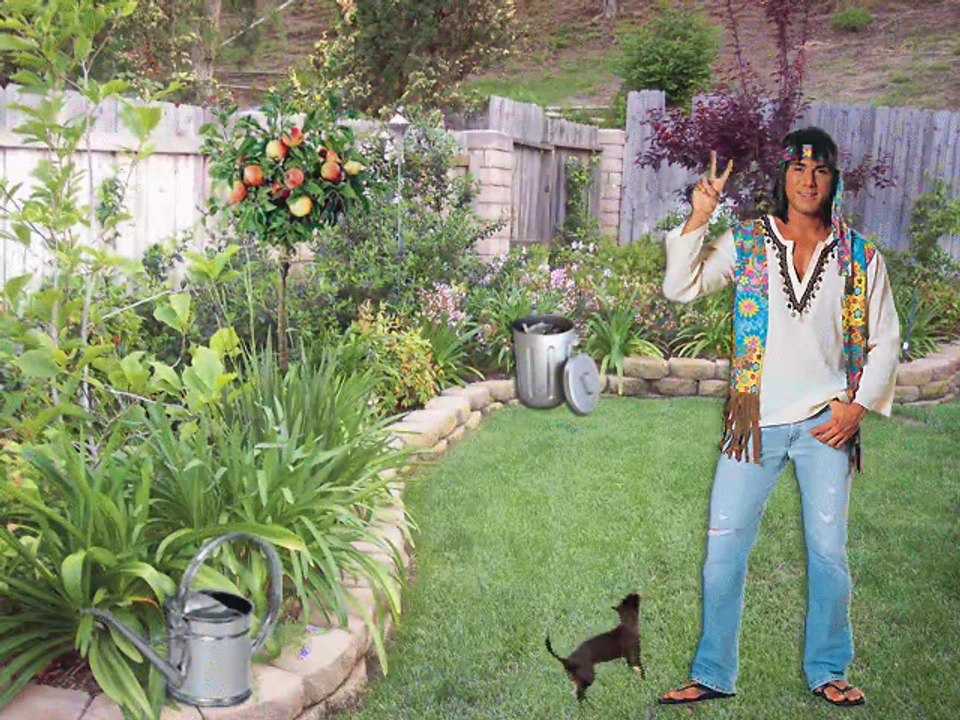 THE BELLAMY BROTHERS ......... Old Hippie