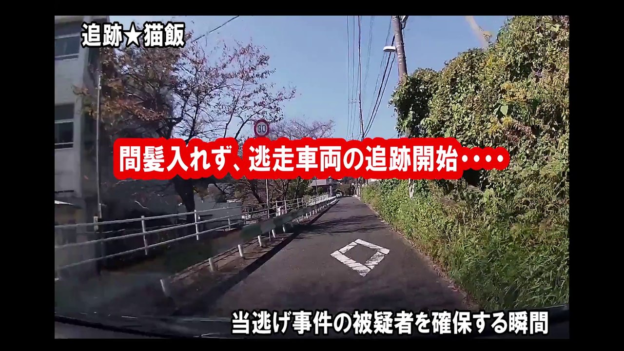 カーチェイス、そして、現行犯逮捕の瞬間