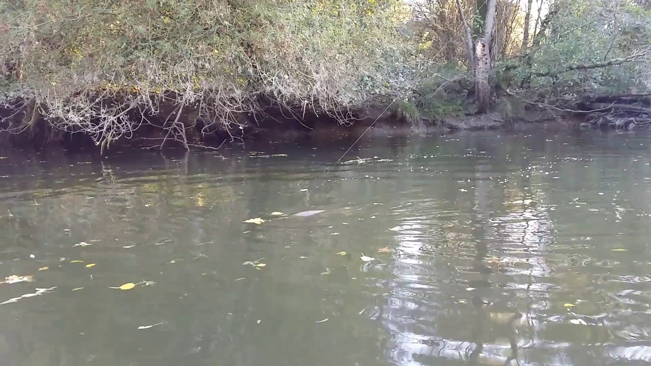 T'es content avec ton brochet?!
