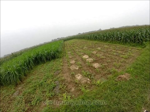 Hanoi Bike Tours - Bike Tour Hanoi