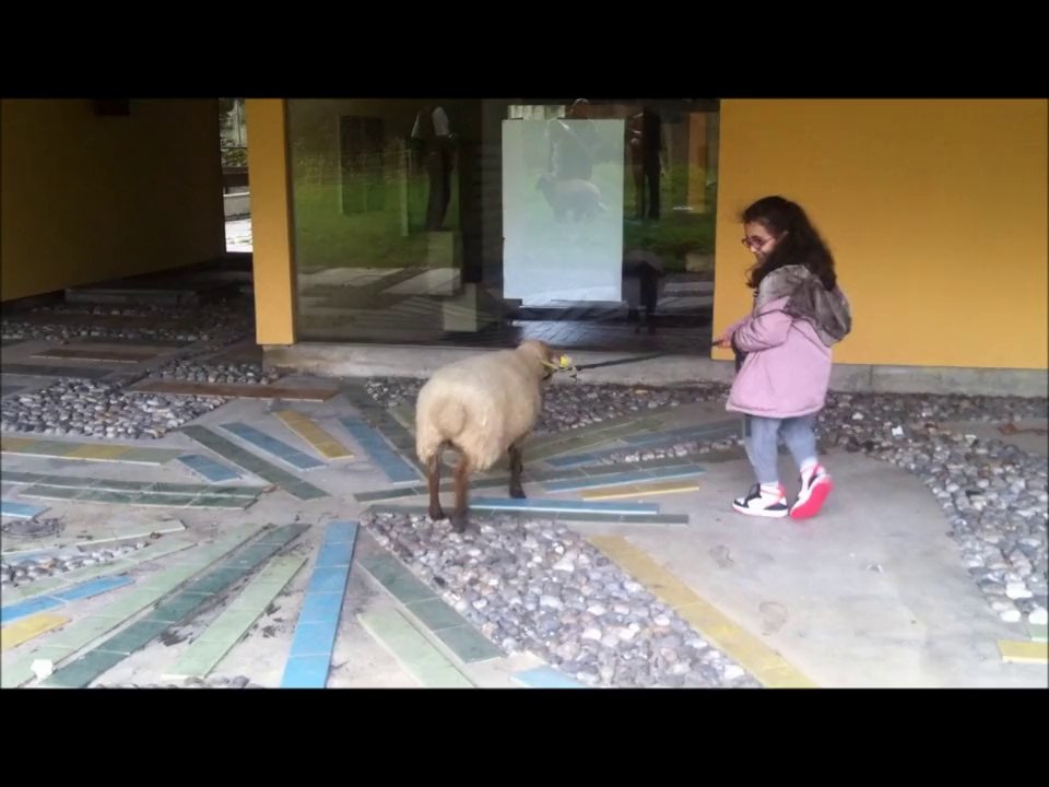 Eco-paturage au 107 rue de reuilly