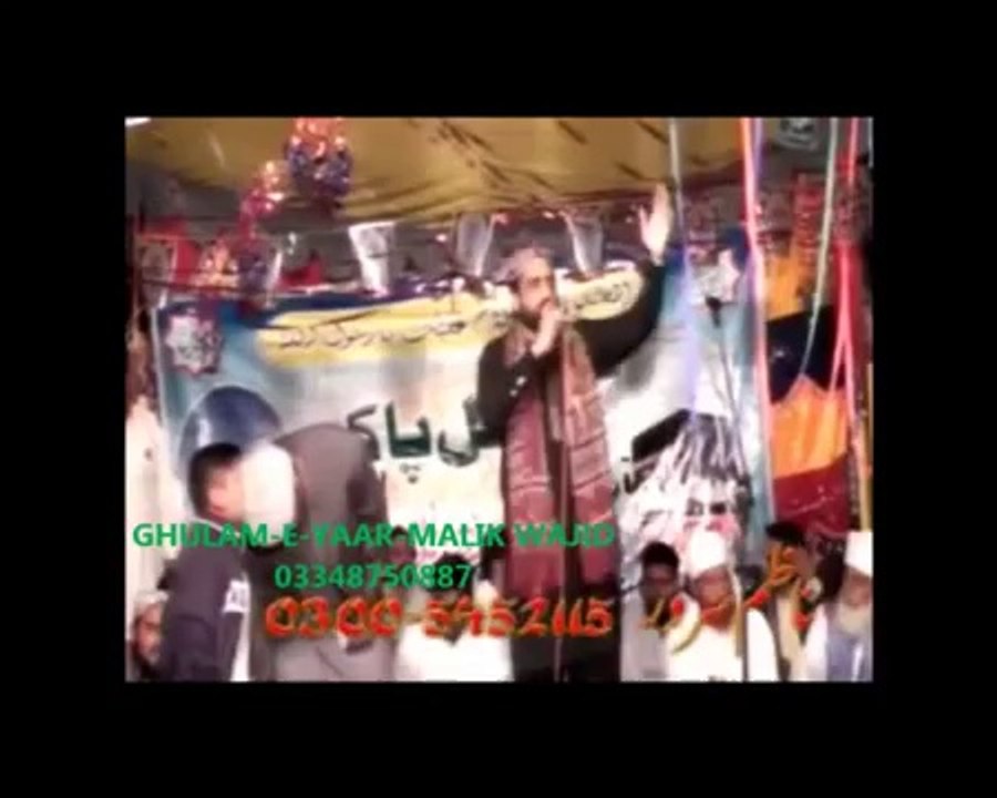 tan vi ali da