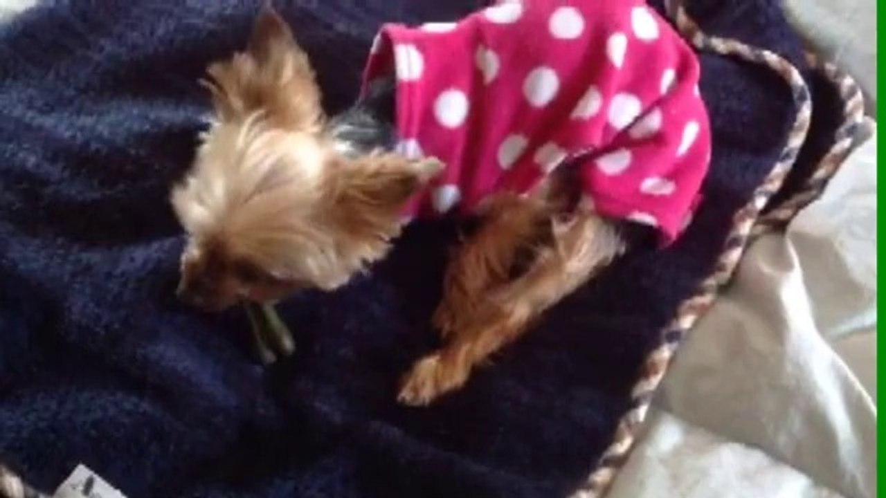 １４歳　さゆり　　歯が一本もありません。14-year-old Sayuri, the tooth does not have one.