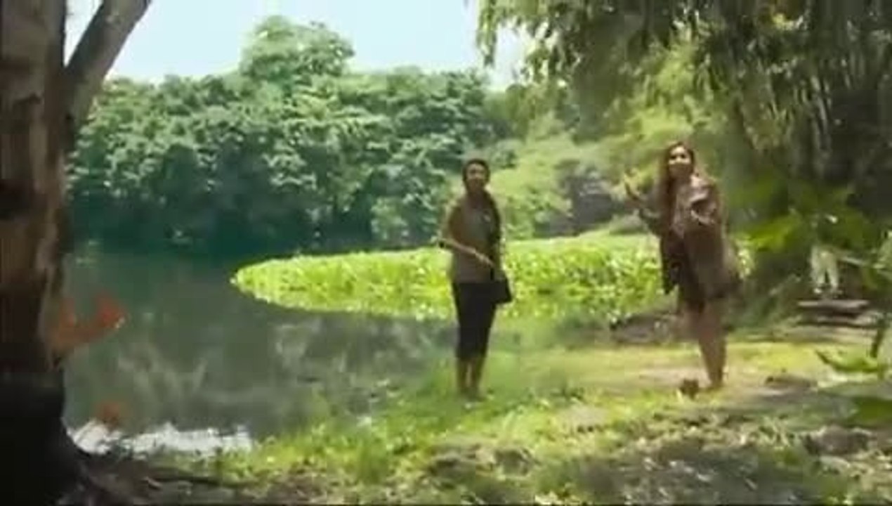 a huge crocodile