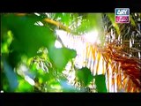 Bahu Begam Episode 80 on ARY Zindagi