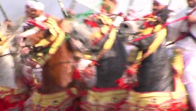 Salon du cheval d'El Jadida _la Tbourida à l'honneur