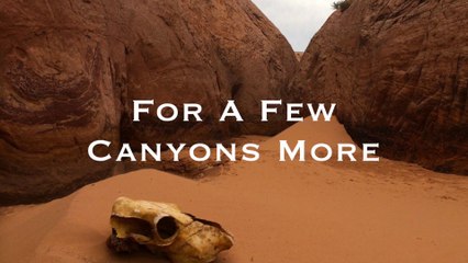 For A Few Canyons More