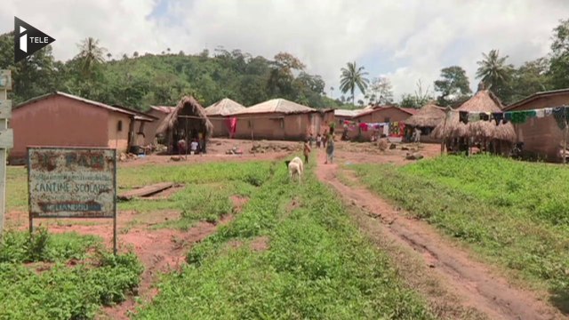 Les chercheurs ont trouvé le patient zéro atteint par Ebola