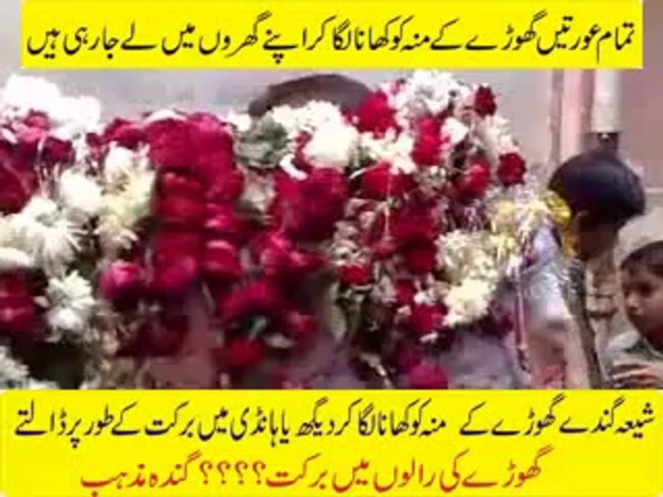 Haq Char Yar shared jmmpak's video - Reality of Muta(Zina) shia Zakir says all shia women does Zina.   Facebook