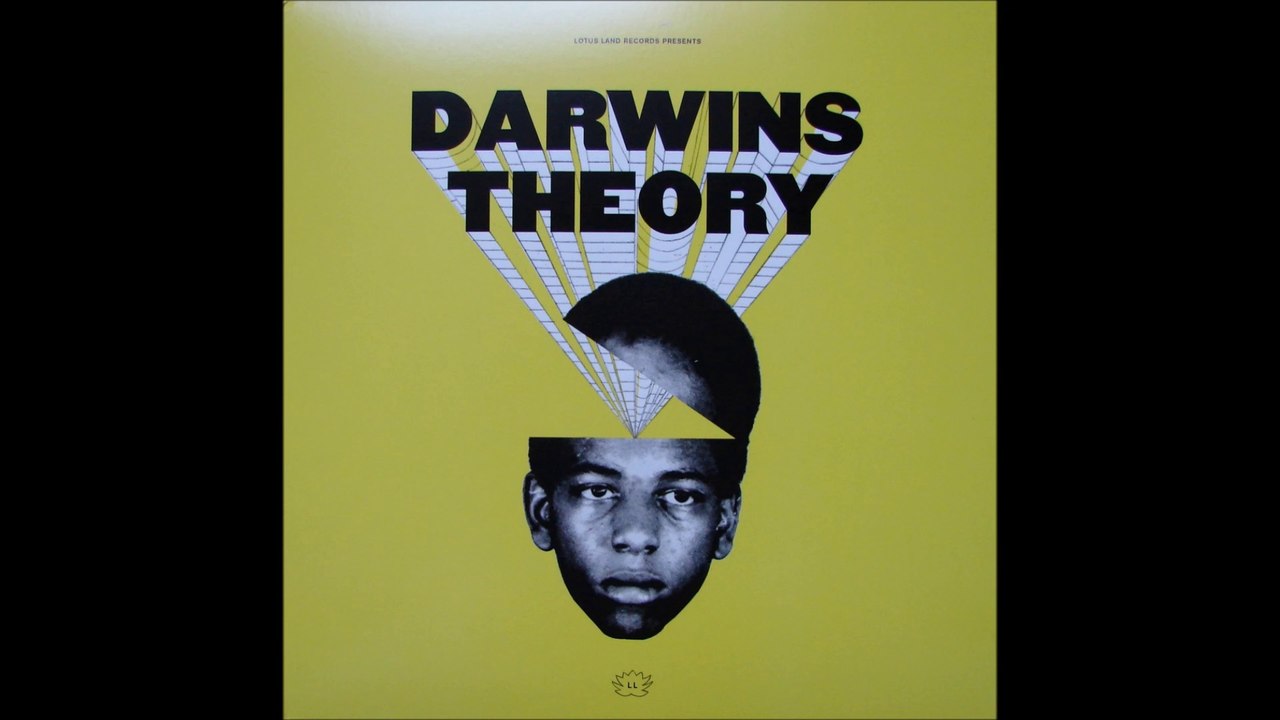 Darwin's Theory - I Love Everyting About You (1978)