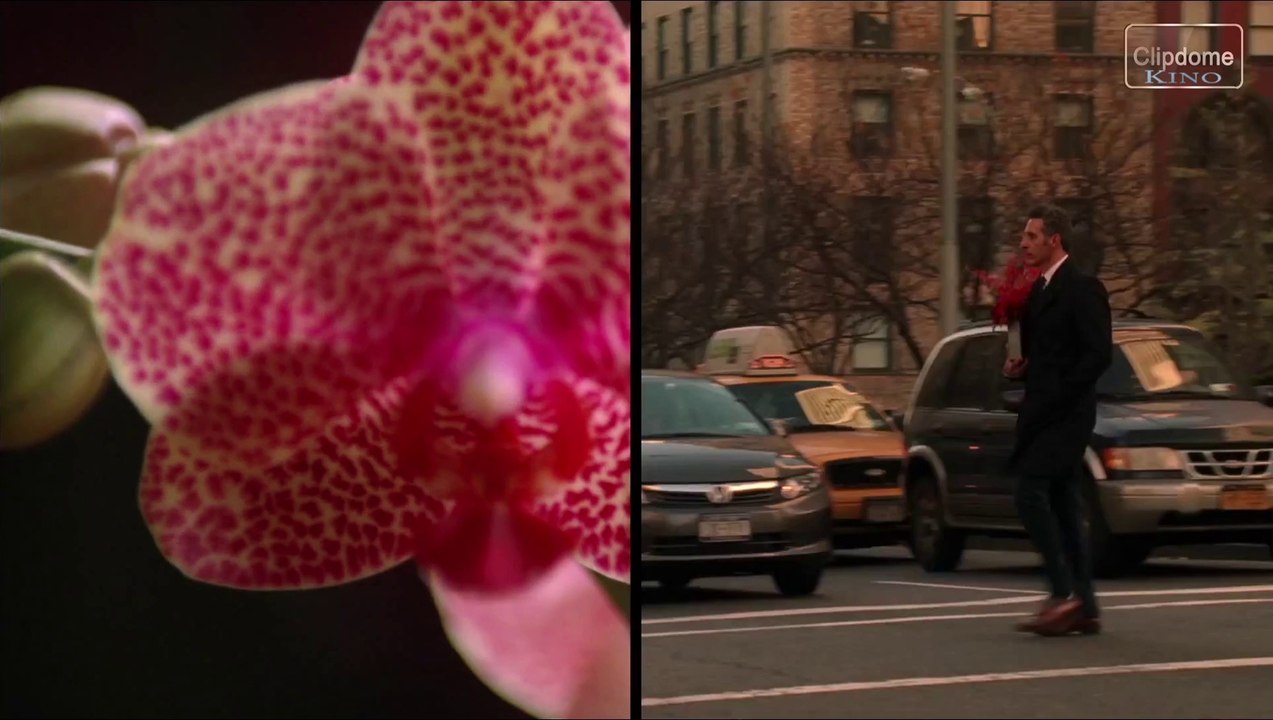 Plötzlich Gigolo Trailer