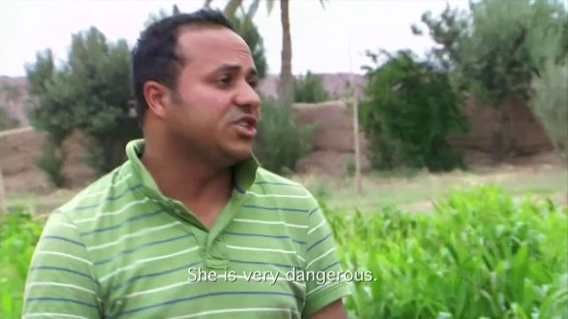 Dest-TruthS04E07 Haunted Island Ruins - Moroccan Succubus Cytu.be/r/SpookyShows