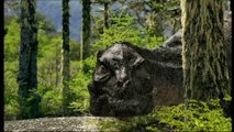 Sur la terre des dinosaures (1999) - Episode 8/8: Mort d'une dynastie