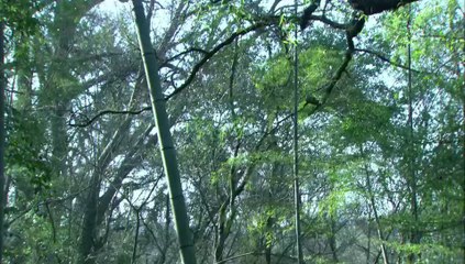 穿越火线23【超清720p】