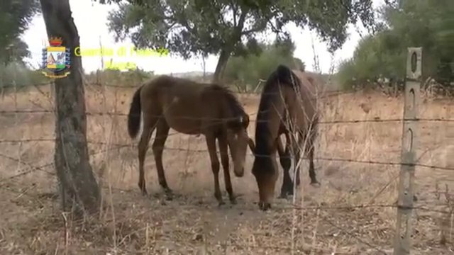 Nuoro - operazione Carte false, scoperta truffa da oltre 1 mln euro