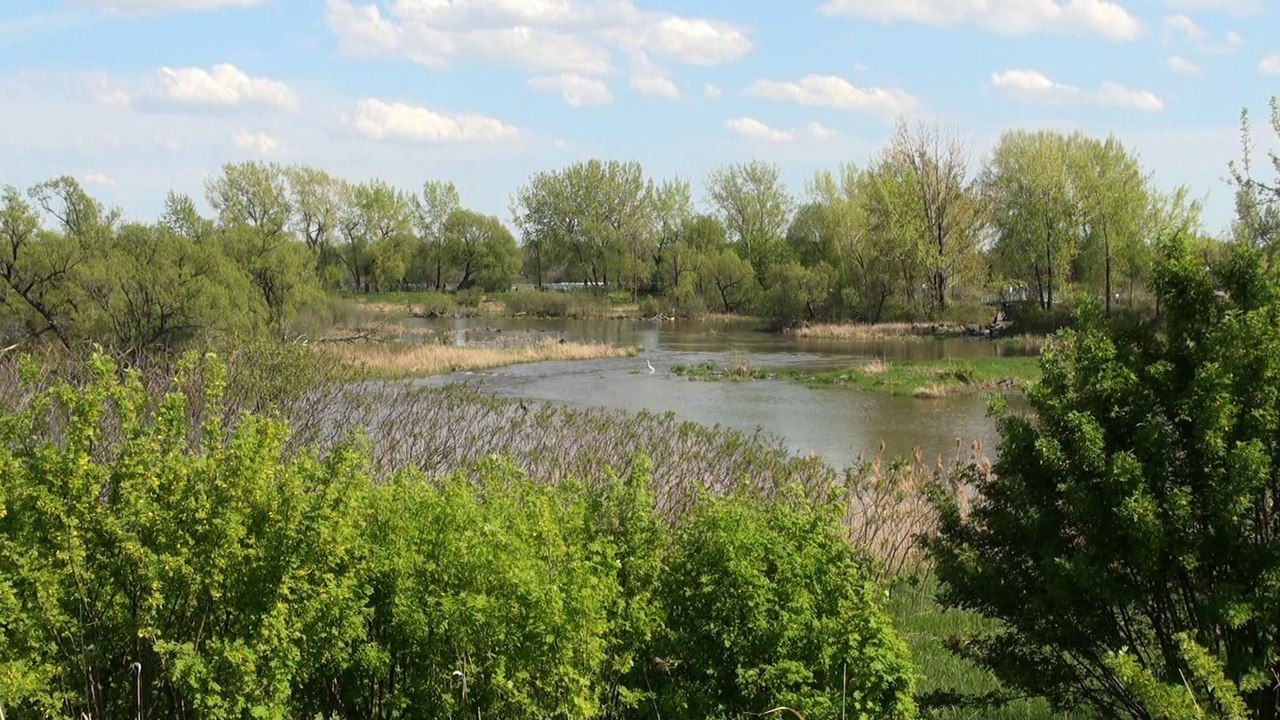 Dis moi ce qui ne va pas - Enrico Macias