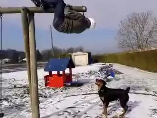 [+18 ~ Sexy Funny Girl]Dog Parkour Fail - Fails World