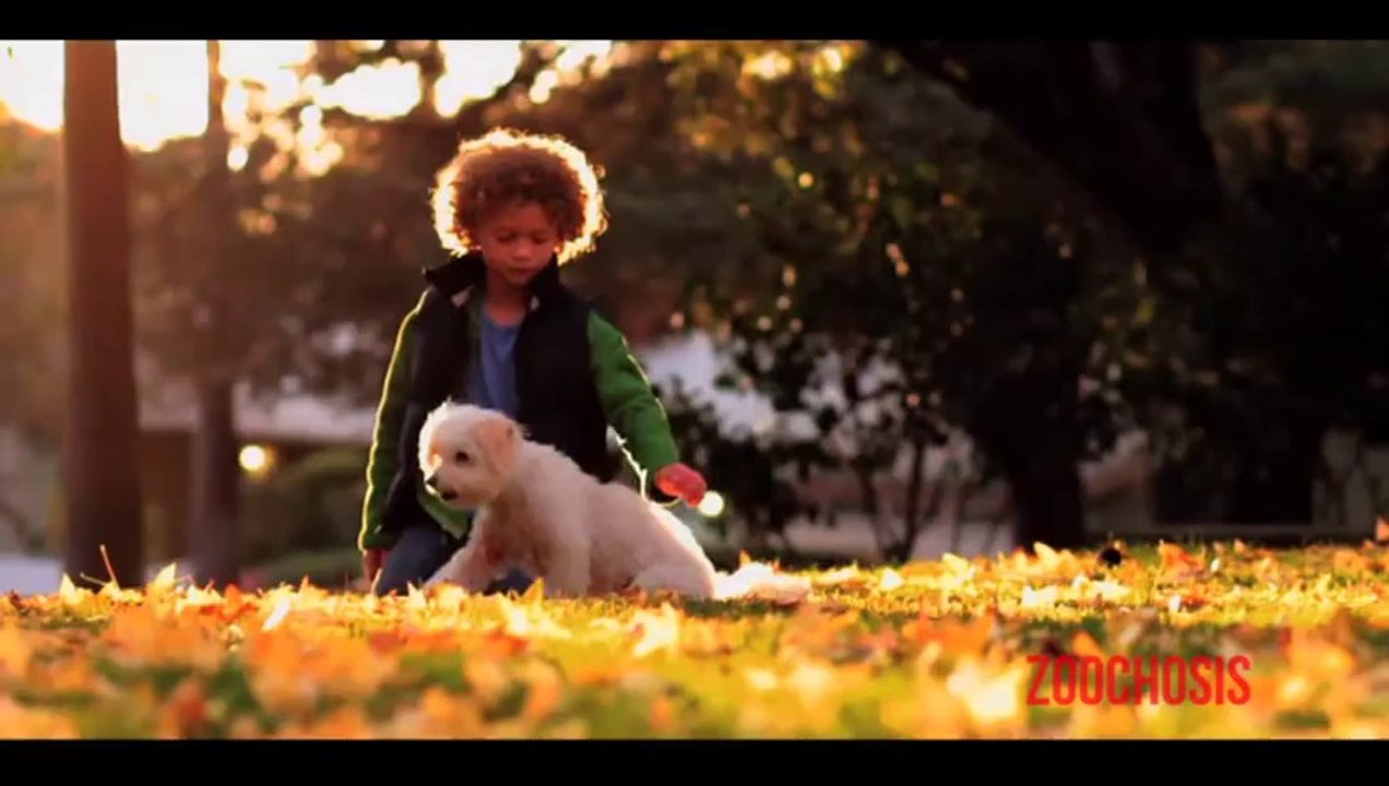 Visit World  Presents_ Stray