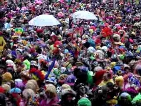 Liberez les harengs!