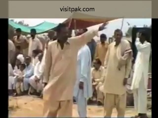 dancing camel