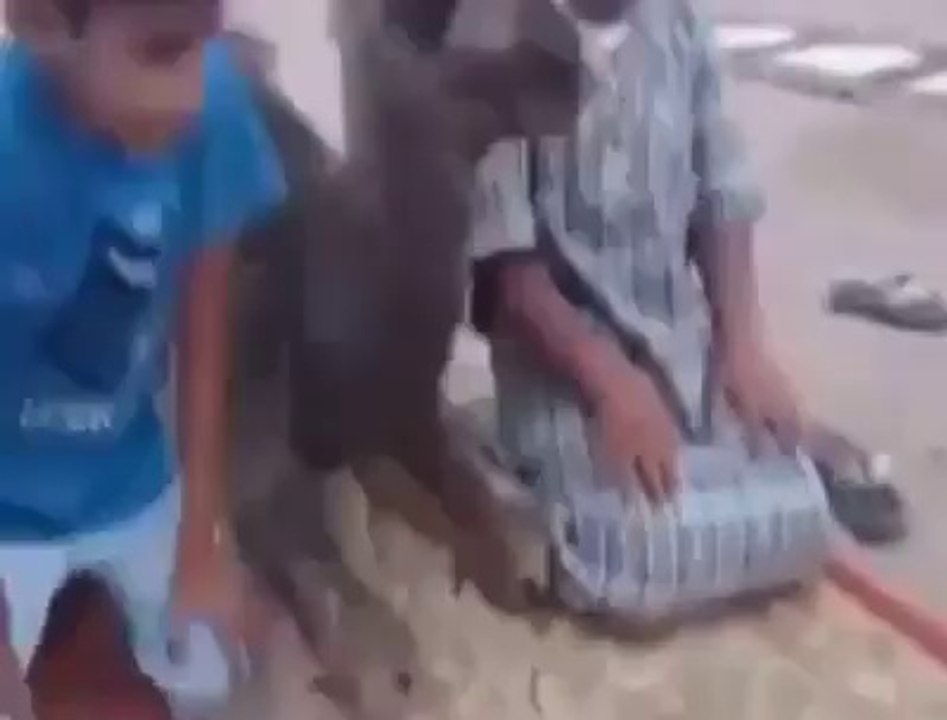 الله اکبر کی آواز پر اونٹ بهی الله کی بارگاه میں سجده ریز هوتے هوئے