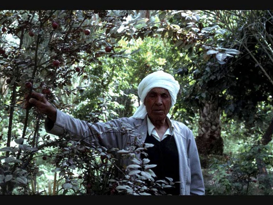 Tozeur 1974 : "OASIS" (version améliorée 2014)