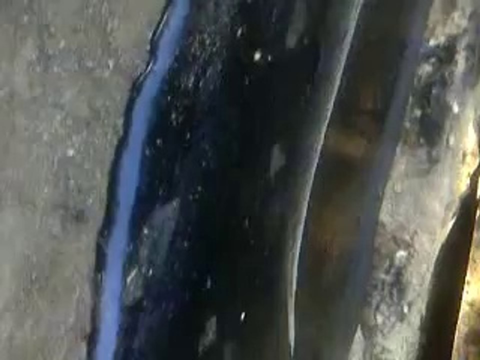 Bitumen