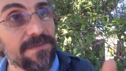 X-MEN APOCALYPSE Viral Video (2016)