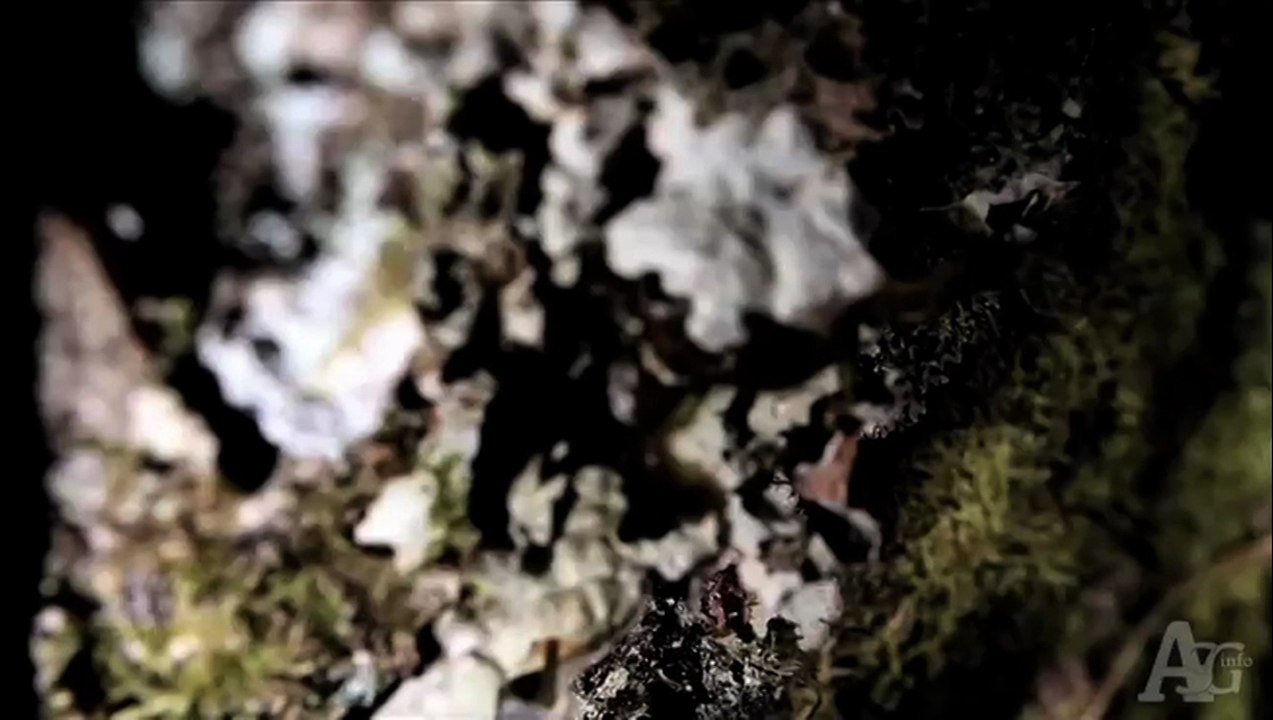El Pozo. Teaser