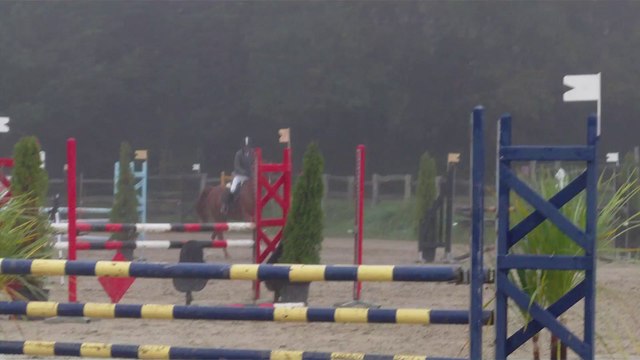 gold horse ball oct 2014