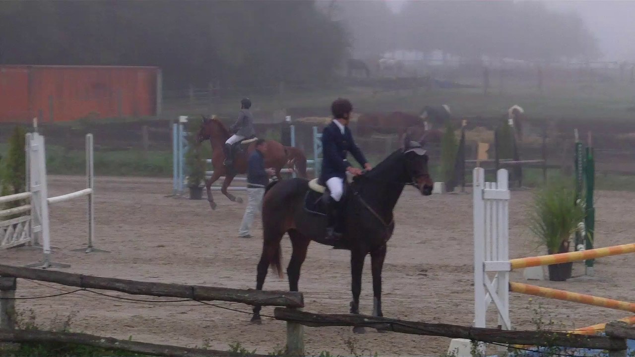 gold horse ball oct 2014