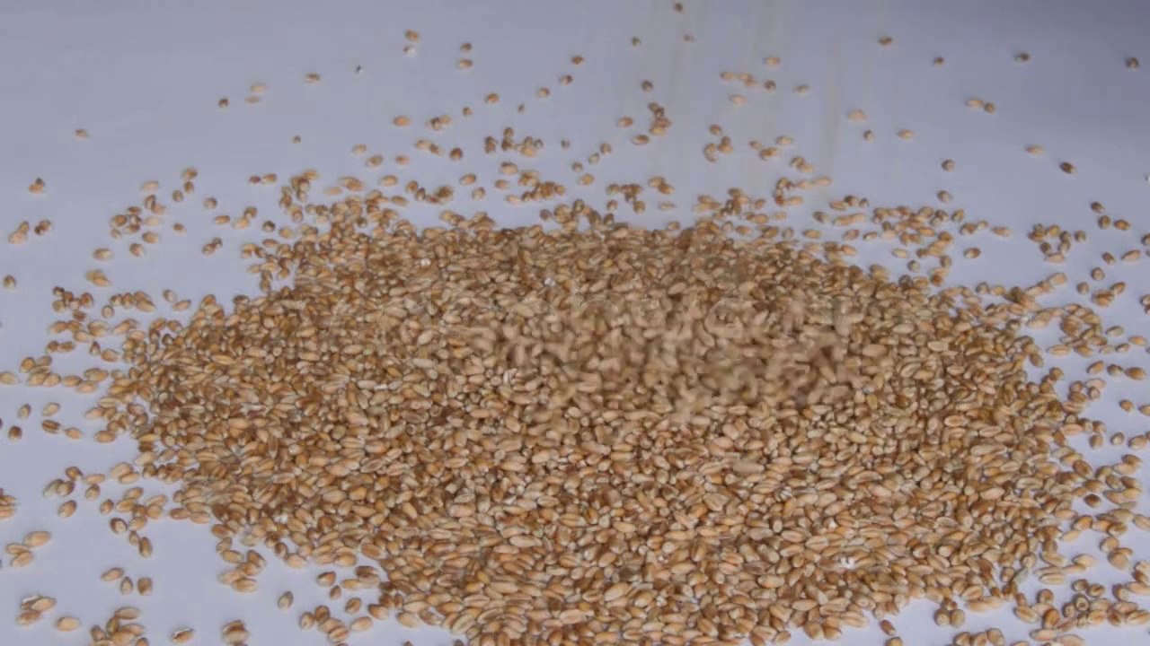 AuthorMusic - Music and Video #3