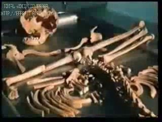 دعاء سيدنا لوط عليه السلام بصوت الشيخ صلاح عبد الله الجمل