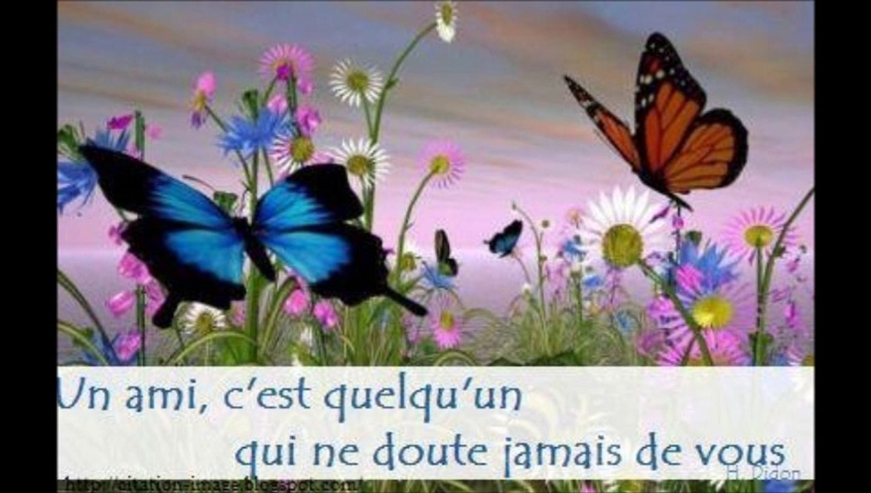 10 roses pour l'amitié